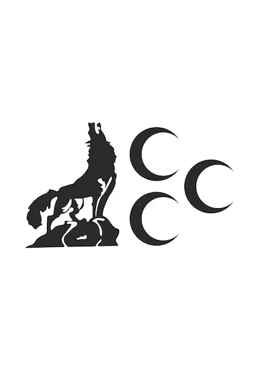 Türk Milliyetçiliğinin Temel İlkeleri